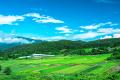 【山形・置賜】ホップ畑deカンパイ!! 白鷹の夏 大満喫
