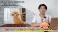 累計7,800名超が取得した「愛犬家住宅コーディネータ