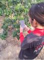 ミライ菜園、伊予銀行・日本公庫が共同組成する「いよ ミライ菜園、伊予銀行・日本公庫が共同組成する「いよ