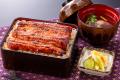 厳しい暑さが続く夏を応援!土用の丑の日に向けutf-8 厳しい暑さが続く夏を応援!土用の丑の日に向けutf-8