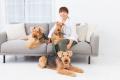【初回生産分完売】「犬が歯磨きを嫌がる理由」から開 【初回生産分完売】「犬が歯磨きを嫌がる理由」から開