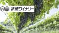 大東文化大学の学生が新感覚の健康ノンアル飲料utf-8