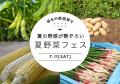 【静岡・三島】箱根西麓の夏野菜が集結!坂もの野菜祭 【静岡・三島】箱根西麓の夏野菜が集結!坂もの野菜祭