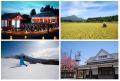 コクー、“デジタル人財の地産地活モデル”研究開発拠点