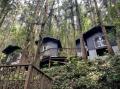 【直方市】竜王峡キャンプ村、開村! 【直方市】竜王峡キャンプ村、開村!