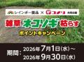 アプリからのエントリーで更にお得にポイント追加のチ