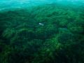 【愛知県豊田市】猿投温泉 金泉の湯「ニフティ温泉 百