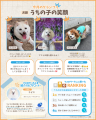 ペットと暮らす毎日をもっと楽しく！「ペッツトウキョ