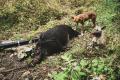 これからの里山の暮らしや生き方を模索する食と暮らし