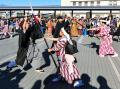 「第14回城下町岩槻鷹狩り行列」を参加者を募集します 「第14回城下町岩槻鷹狩り行列」を参加者を募集します
