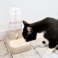 【夏の節電調査】愛猫家の74.8％がエアコン電気代に悲