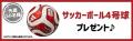 【東急Sレイエス フットボールスクール】サッカー日本 【東急Sレイエス フットボールスクール】サッカー日本
