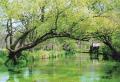「あづみの水結かき氷」で 水環境保全ＰＲ