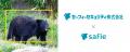 クラウドカメラを活用したクマ検知AI＆みまもり目視サ