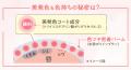 2つの質感でハリツヤもふっくら感も自由自在！セザン