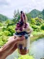 豊根村8つの農園で、味が濃く甘いブルーベリーを楽し