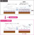 (株)成和化成 カラーケアと“皮膜毛*1”対策を両立する (株)成和化成 カラーケアと“皮膜毛*1”対策を両立する