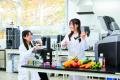 十文字学園女子大学 食品開発学科 曽矢ゼミが「狭山茶 十文字学園女子大学 食品開発学科 曽矢ゼミが「狭山茶