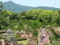 日本最古の公立植物園「京都府立植物園」における運営 日本最古の公立植物園「京都府立植物園」における運営