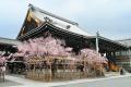 今井建設、自社ホテルブランド「solmu kyoto」を始動 今井建設、自社ホテルブランド「solmu kyoto」を始動