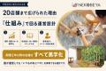 猫専門ペットホテル『ねこべや』、直営・FC合わせて全 猫専門ペットホテル『ねこべや』、直営・FC合わせて全