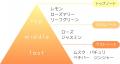 モチっと落とす「シュシュモア ホットクレンジングジ モチっと落とす「シュシュモア ホットクレンジングジ