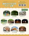 今年も開催！毎年好評の『湖畔ステイズ庄原』サマー企