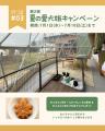 今年も開催！毎年好評の『湖畔ステイズ庄原』サマー企