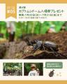 今年も開催！毎年好評の『湖畔ステイズ庄原』サマー企