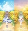 青い海と、咲き誇るひまわり畑――『シュガードール』に