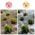 眼に優しい光のみを通す「偏光レンズ」を標準装備した