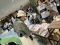 <開催報告>豊島区の子育て家庭121世帯331名に子ども <開催報告>豊島区の子育て家庭121世帯331名に子ども