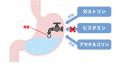【夏の食生活と胃の不調に関する実態調査】その不調、 【夏の食生活と胃の不調に関する実態調査】その不調、