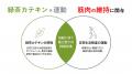 継続的な緑茶カテキンの摂取と日常生活で実施可utf-8 継続的な緑茶カテキンの摂取と日常生活で実施可utf-8