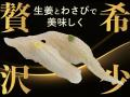 【回し寿司 活】夏の旬を味わい尽くす！【激うまっ九