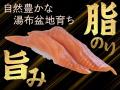 【回し寿司 活】夏の旬を味わい尽くす！【激うまっ九