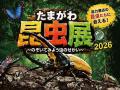 【玉川高島屋S.C.】夏のイベント＆全館セール情報 ヘ