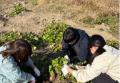 学生の視点で、脱炭素をもっと身近に～Local Bridge学