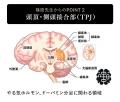 完成するまで何を組み立てているかわからない！？ドイ