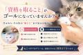 「これから資格を取りたい」人も、「資格は取った、け