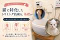 「これから資格を取りたい」人も、「資格は取った、け