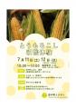 【夏の味覚を五感で満喫】試食付き！“とうもろこし”と