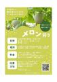 【夏の味覚を五感で満喫】試食付き！“とうもろこし”と
