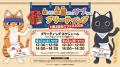 開催まであと29日！第2回ねこフェス2026｜前売チケッ