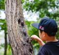 【長野・佐久】高速直結「パラダ」の夏始動！佐久平尾
