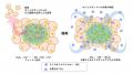 分子状水素の抗酸化・細胞保護総説 3 本が Medical Ga