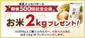 【開催500回記念】1996年から続く日本最大級の家具の 【開催500回記念】1996年から続く日本最大級の家具の