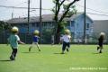富士瓦斯×リコーブラックラムズ東京 2025-26シーズン 