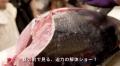 30kgの『生本まぐろ』を職人が目の前で豪快解体！激レ