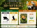 千葉市動物公園のレッサーパンダ「風太」を3D・NFT化 千葉市動物公園のレッサーパンダ「風太」を3D・NFT化